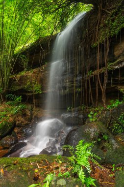 Saifon şelale Phitsanulok, Tayland at