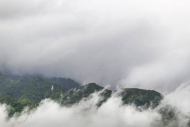 Sabah sisli manzaralı.