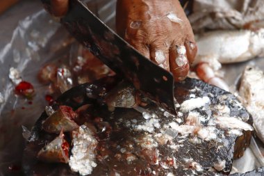 Temizlik ve taze balık filleting.