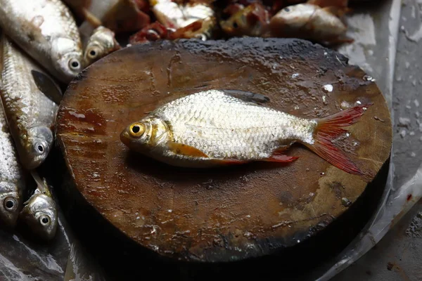 洗浄し 新鮮な魚をさばく — ストック写真