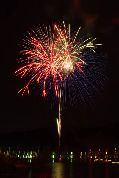 Fireworks Display Night Sky — Stock Photo, Image