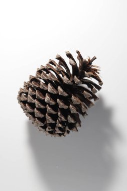 Çam kozalağı. Beyaz arka plan üzerinde Noel süsleri.