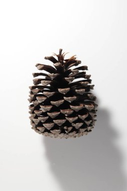 Çam kozalağı. Beyaz arka plan üzerinde Noel süsleri.