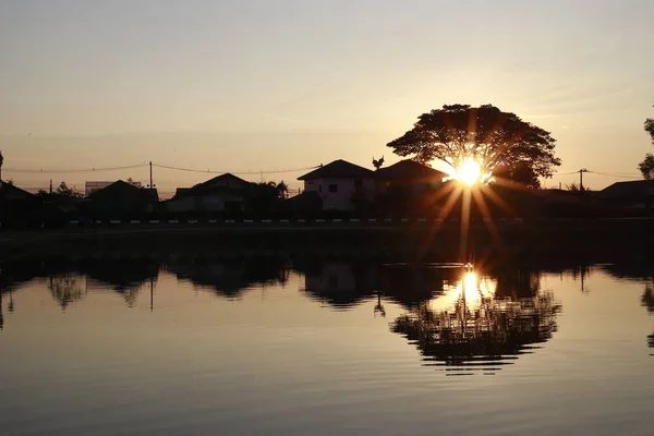 Árbol Del Sol Naciente Agua — Foto de Stock