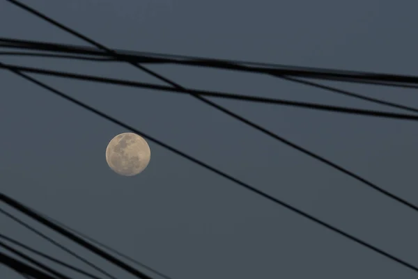 보름달과 — 스톡 사진