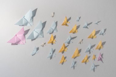 Beyaz oda duvarında kelebek kağıt.