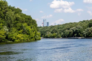 Moskova 'ya bakan bir orman nehri. Felevsky Parkı. Moskova. Haziran 2020
