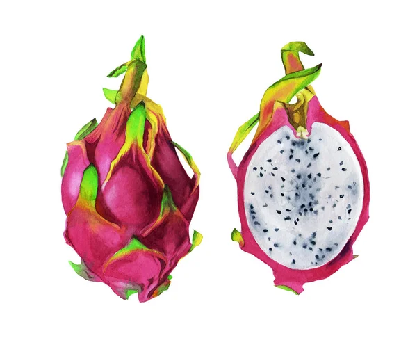 Watercolor Illustration Pitahaya Isolated Dragon Fruit Label Menu Icon Watercolor — Stock Photo, Image