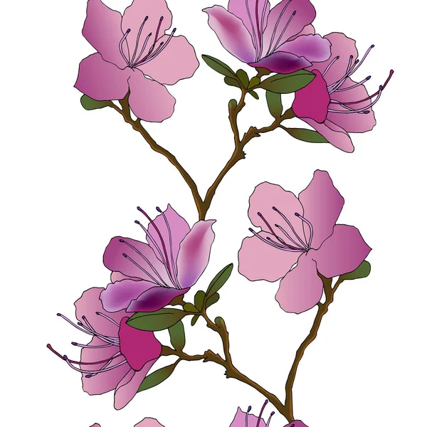 진달래 Ledebour의 스케치 환입니다 나뭇잎과 핑크색 그림입니다 Backgrond Maralnik의 알타이의 — 스톡 벡터
