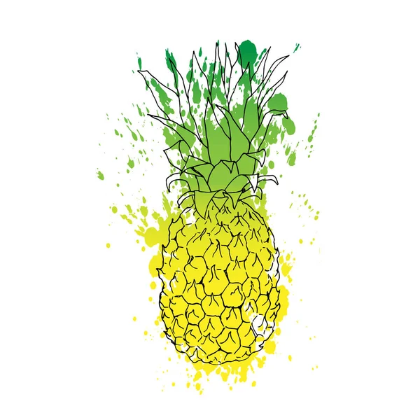 Vectorillustratie Lijn Van Ananas Met Aquarel Abstracte Textuur Geïsoleerde Ananas — Stockvector