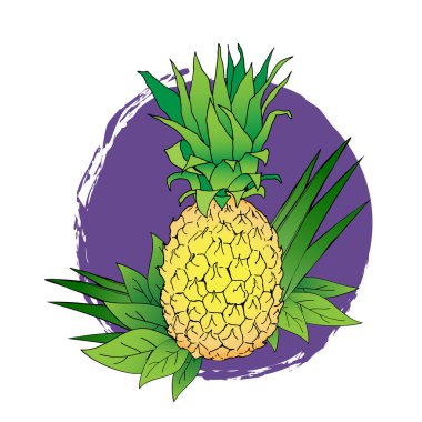 ananas Mor leke yapraklarda ile hat illüstrasyon vektör. Renk ananas etiket, menü, simge için izole Illustration. Renkli meyveler yaprakları ile boyalı el çizdi.