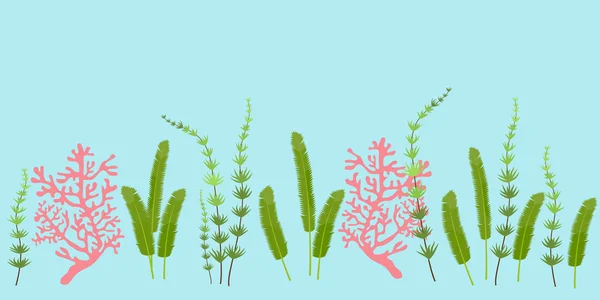 无缝的自然模式与珊瑚和藻类在白色背景. — 图库矢量图片