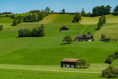 Thun kenti, yeşil tarlalar ve İsviçre 'nin Zermatt kentine giden yol üzerindeki dağlık evler ile Thun Gölü boyunca tren yolculuğu.