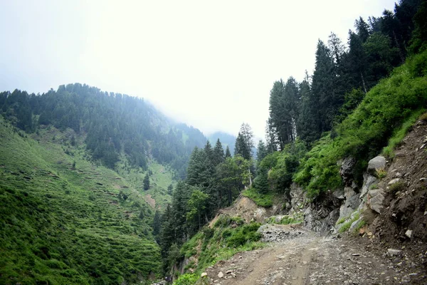 Montagnes Couvertes Herbe Verte Beau Sentier Arbres Verts Ciel Nuageux — Photo