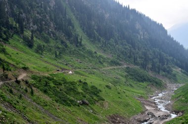 Dağlar yeşil çimen, güzel yol, yeşil ağaçlar ve mavi bulutlu gökyüzü kaplı. Sahte kavramı seyahat.