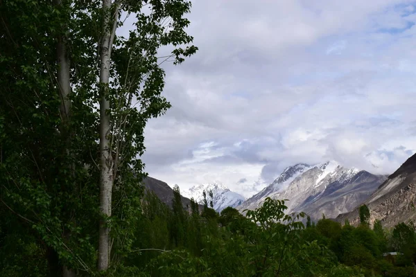 白い雪に覆われたアルプス山と雲と青空の下で緑の木々 の丘の壮大な景色 — ストック写真
