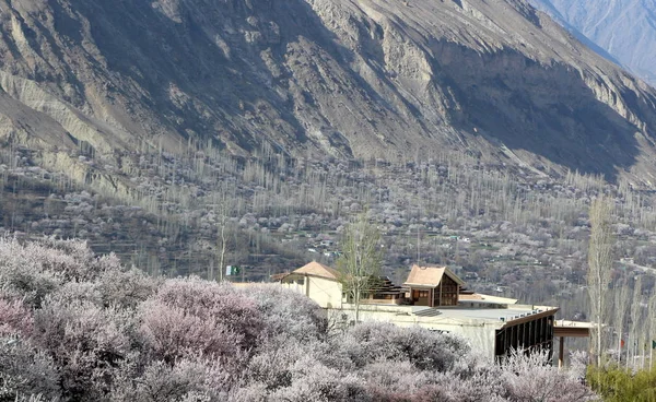 Countryside village homes and houses on the hill.