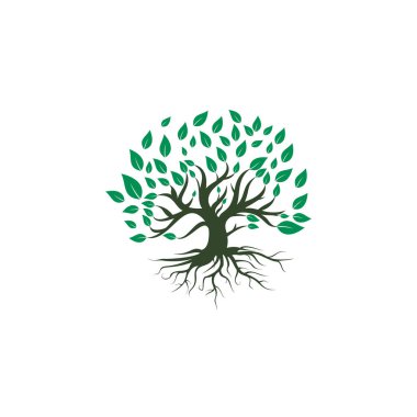 Ağaç kökü logosu vektör tasarımı çizimi. Yaşam Ağacı logosu tasarımı ilham kaynağı.