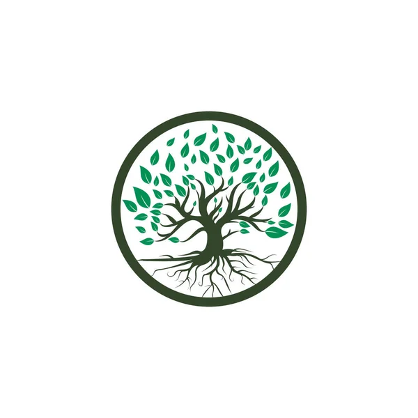 Ilustracja Projektu Wektora Korzenia Drzewa Logo Drzewo Życia Inspiracja Projektowa — Wektor stockowy