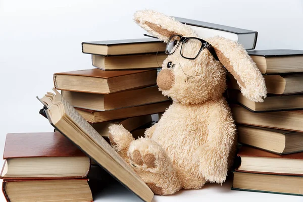 A soft toy rabbit in glasses sits in piles of books and reads a book.
