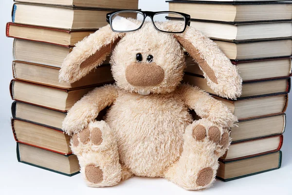 A toy rabbit in glasses sits near piles of books.