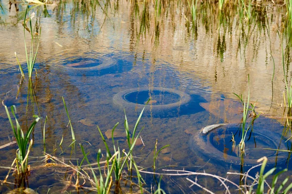 Old tires in water. Environmental pollution. Environmental problem.