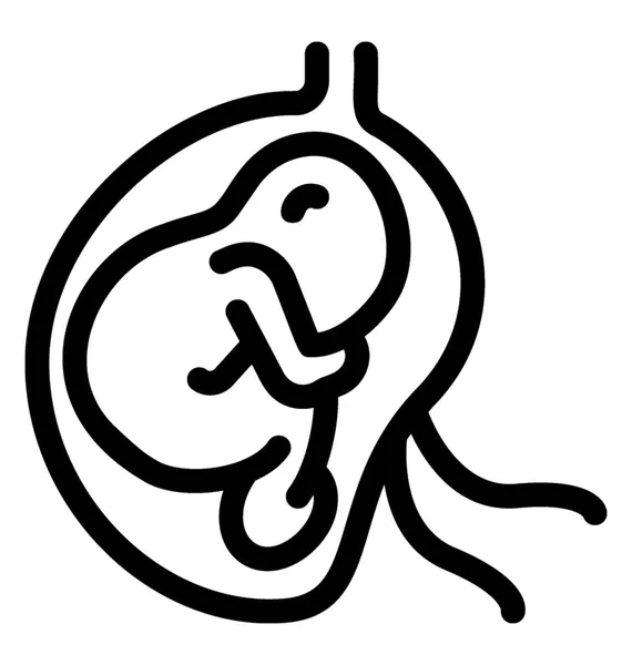 Embryo Symbolvektor Liniendesign Neugeborenes Baby — Stockvektor