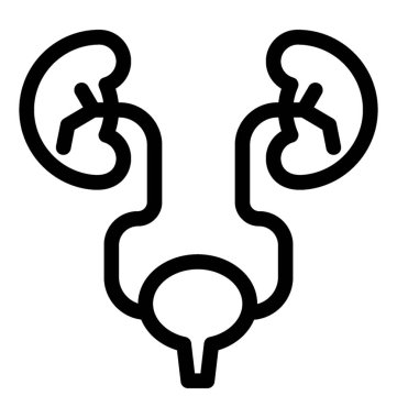 Üriner sistem kutsal kişilerin resmi çizgi vektör 