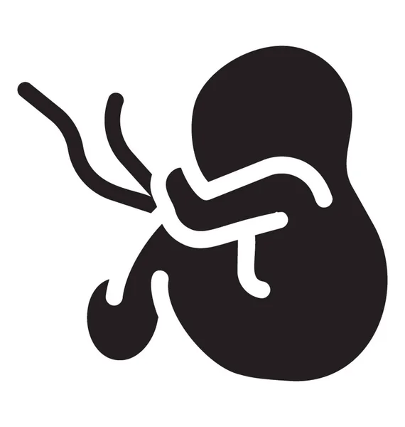 Vector Icono Embrión Diseño Sólido Bebé Recién Nacido — Vector de stock