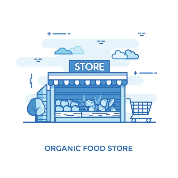 Diseño Ilustrativo Tienda Alimentos Ecológicos — Vector de stock