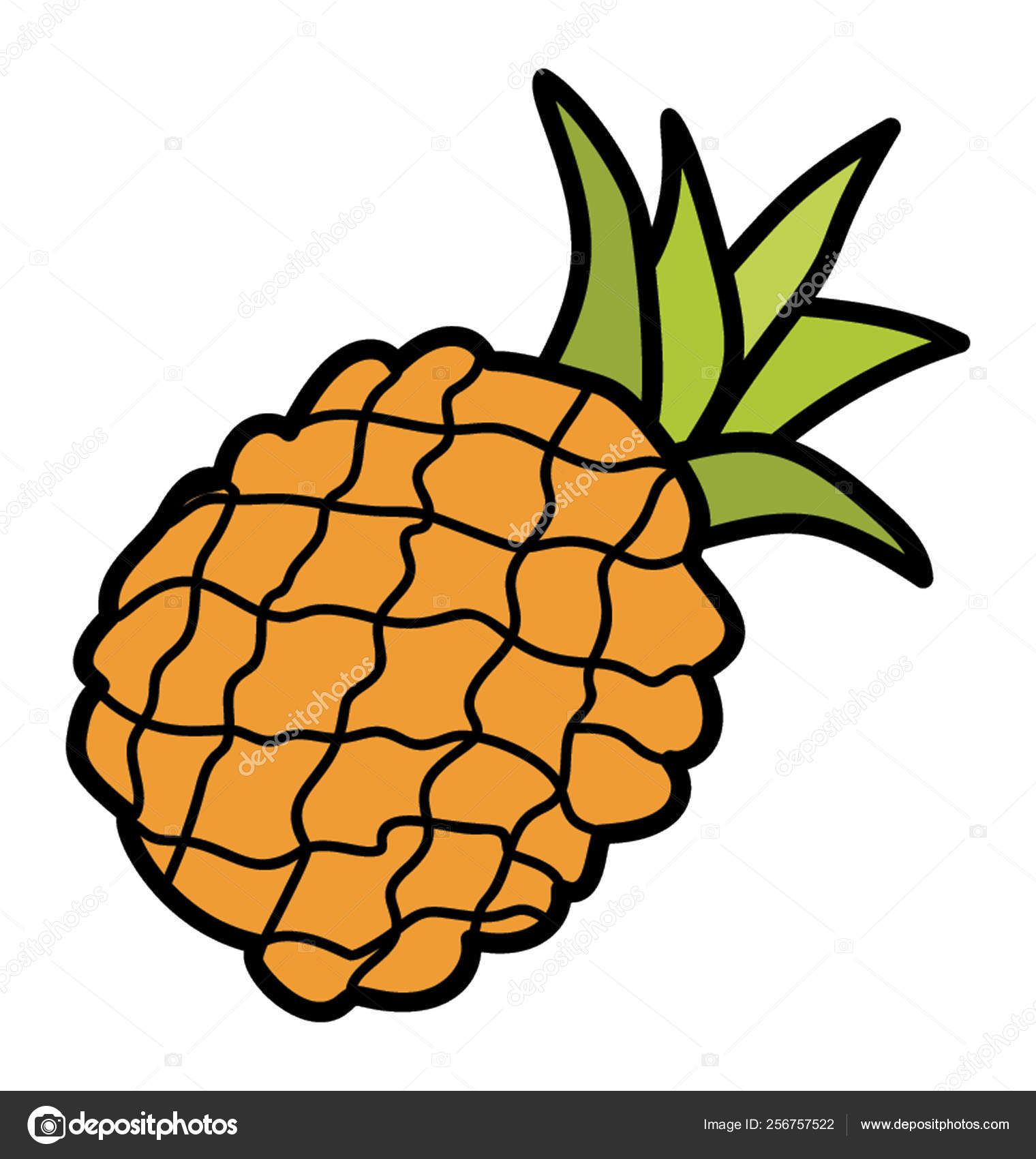 Ananas Comosusストックベクター ロイヤリティフリーananas Comosusイラスト ページ 2 Depositphotos Ananas Comosusストックベクター ロイヤリティフリーananas Comosusイラスト ページ 2 Depositphotos