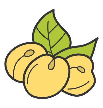 Doodle tasarımında kayısı simgesi.