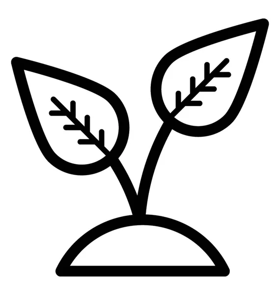 Φυτό καλλιέργεια φύτρων — Διανυσματικό Αρχείο
