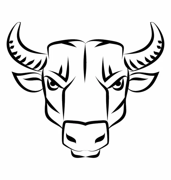 Bull Head Vector — Stock Vector