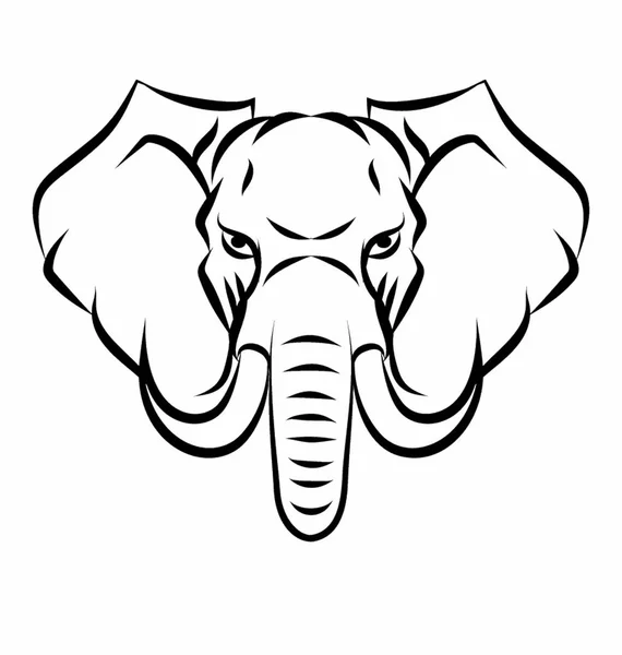 Cabeza de mascota elefante — Vector de stock