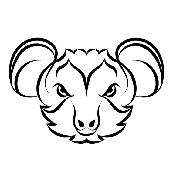 Koala Bear Head — Stock Vector