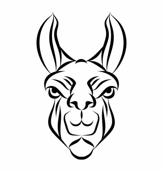 Głowa maskotka Lamy — Wektor stockowy