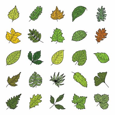 Yeşil yaprakları Icons set