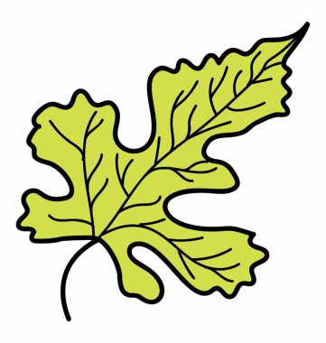 Lobate yeşillik yaprak