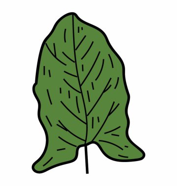 Hastat yaprak vektör