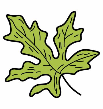 Eko kişniş yaprağı