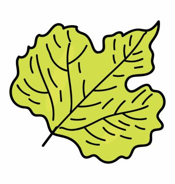 Eko akçaağaç yaprağı