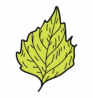 Doğal Crenate yaprak