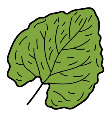 Deltoid yaprak vektör