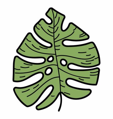 Doğal meşe yaprağı