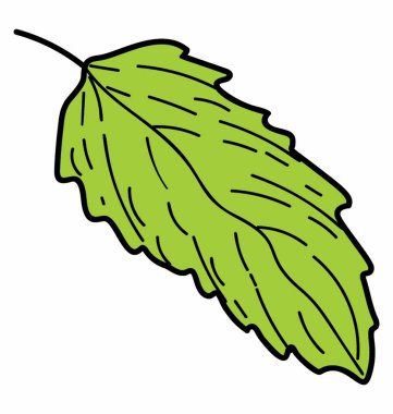 yeşil yaprak yaprakları