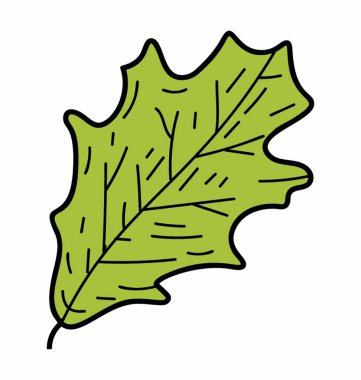 Meşe yaprağı vektör