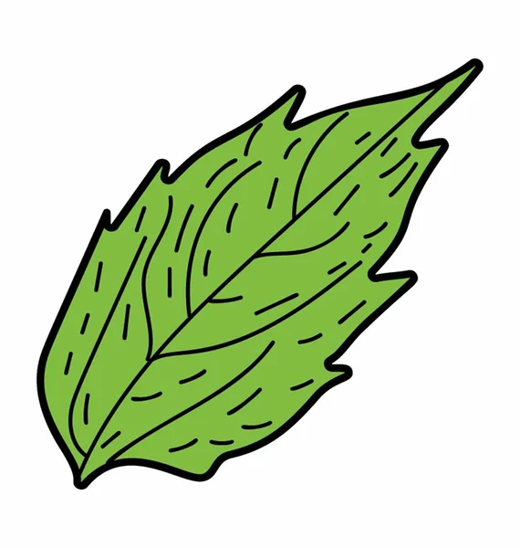 Eco Alder Leaf — Stock Vector
