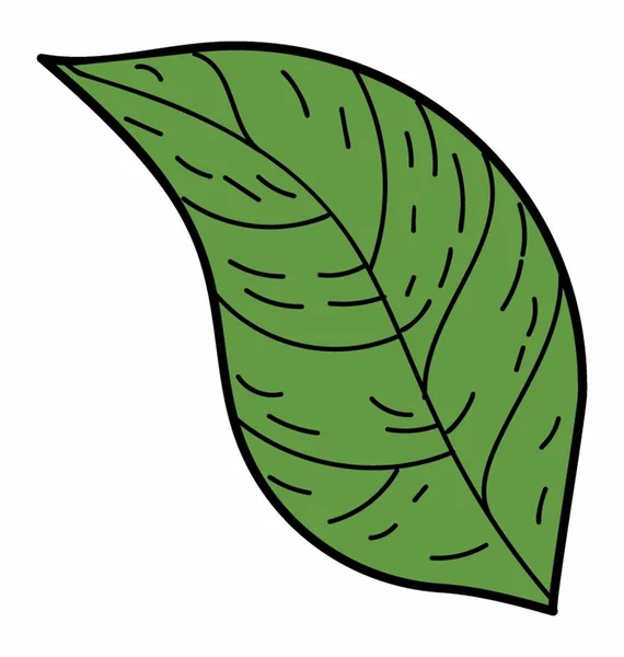 Ovaal blad vector — Stockvector