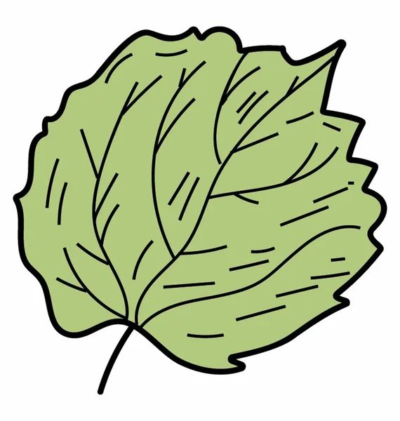 Natuurlijke Linden Leaf — Stockvector